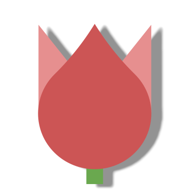 tulipshadow